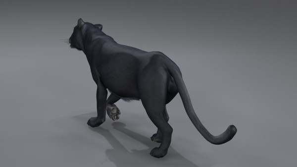 felines fur 3d model - Wild Felines Pack by NONECG