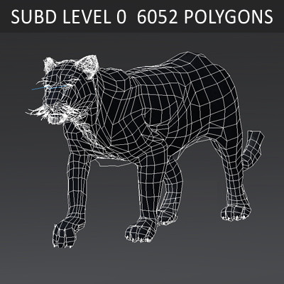 felines fur 3d model - Wild Felines Pack by NONECG