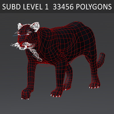 felines fur 3d model - Wild Felines Pack by NONECG