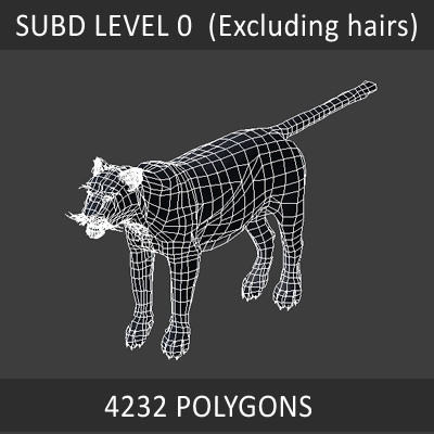 felines fur 3d model - Wild Felines Pack by NONECG