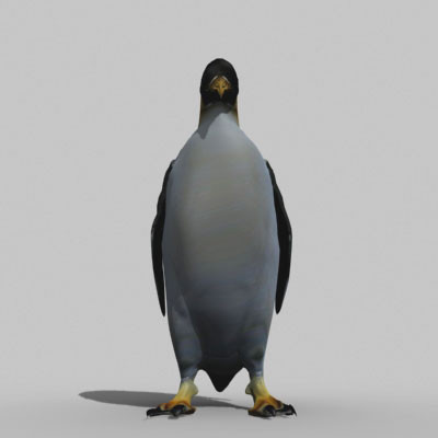 max polar bear sea life - Pack - Sea Life... by NONECG