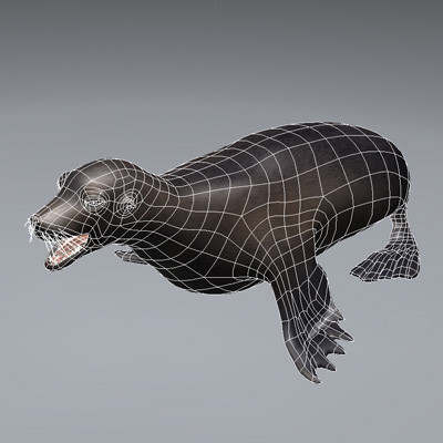 3ds max dolphin rigged lightwave - Rigged Marine Mammals Pack by NONECG