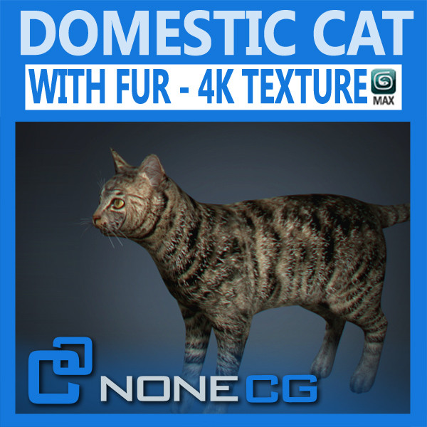 cat hair feline max - Domestic Cat - Hair by NONECG