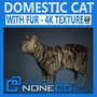 3d model cat hair feline