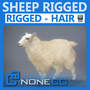 sheep polys wool 3d max