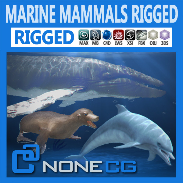 3ds max dolphin rigged lightwave - Rigged Marine Mammals Pack by NONECG