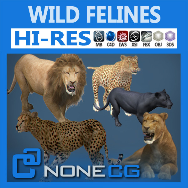 felines fur 3d model - Wild Felines Pack by NONECG
