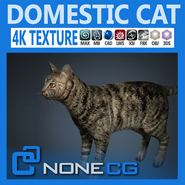 lightwave cat feline - Domestic Cat by NONECG