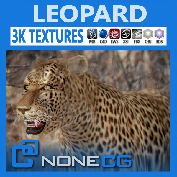 3d cat feline leopard - Leopard by NONECG