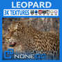 3d cat feline leopard