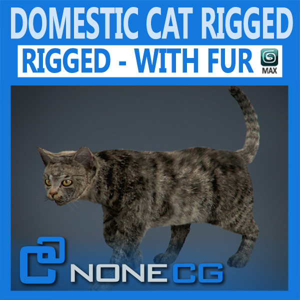 3d rigged cat hair fur - Rigged Domestic Cat - Fur by NONECG