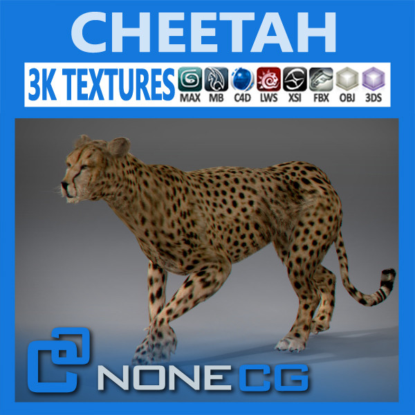 directx cheetah cat feline - Cheetah by NONECG