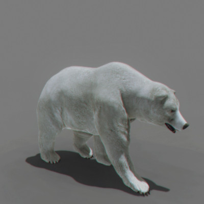 3d panda bears - Animated Bears Pack by NONECG