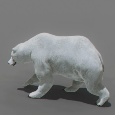 3d panda bears - Animated Bears Pack by NONECG