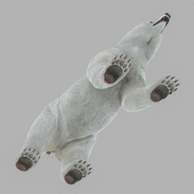 3d panda bears - Animated Bears Pack by NONECG