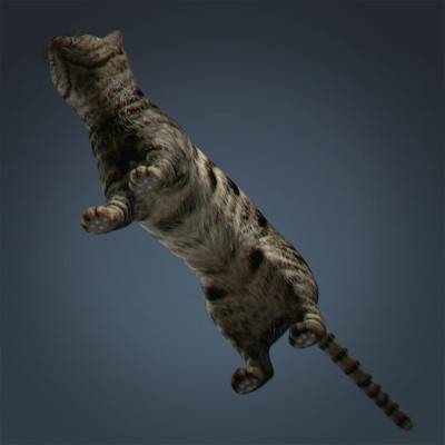 3d animals goat pig - Domestic Animals Pack by NONECG