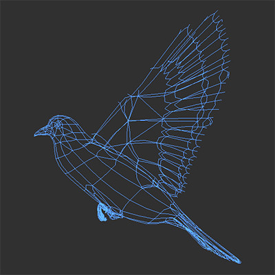 maya farm birds - Animated Farm Birds Pack by NONECG