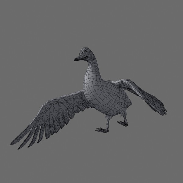 3ds max farm turkey doves - Farm Animals Pack by NONECG