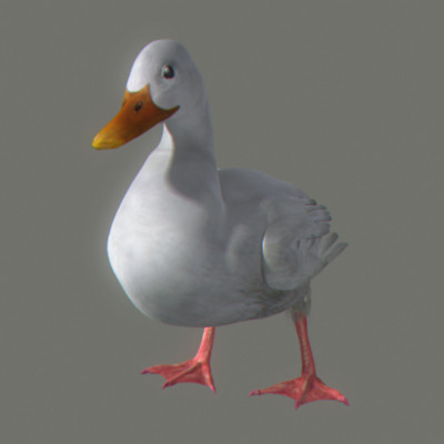 maya farm birds - Animated Farm Birds Pack by NONECG