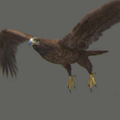 rigged dolphin eagles 3d model - Animated Wildlife MegaPack by NONECG