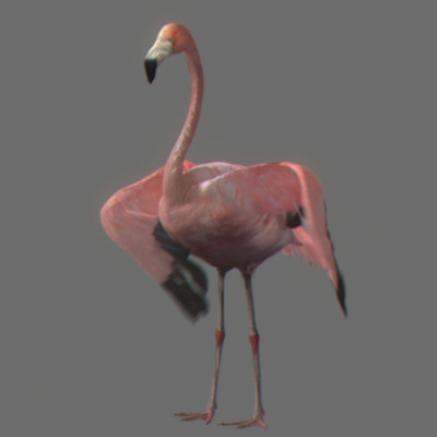 crow flamingo parrots 3d 3ds - Animated Birds Pack by NONECG