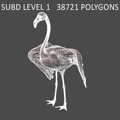 crow flamingo parrots 3d 3ds - Animated Birds Pack by NONECG