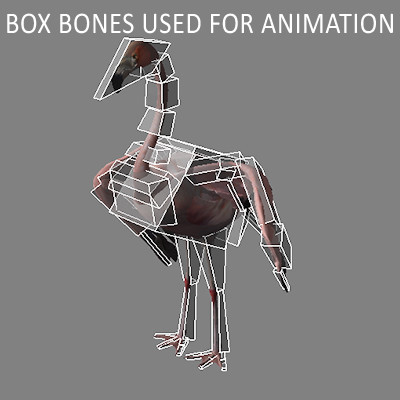 crow flamingo parrots 3d 3ds - Animated Birds Pack by NONECG
