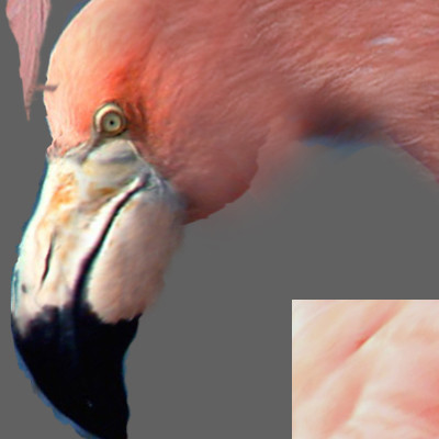 crow flamingo parrots 3d 3ds - Animated Birds Pack by NONECG
