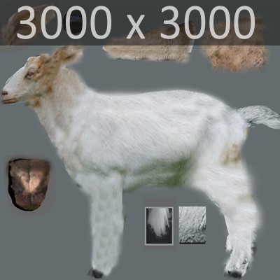 3d model rigged sheep goat - Domestic Animals Rigged Pack by NONECG