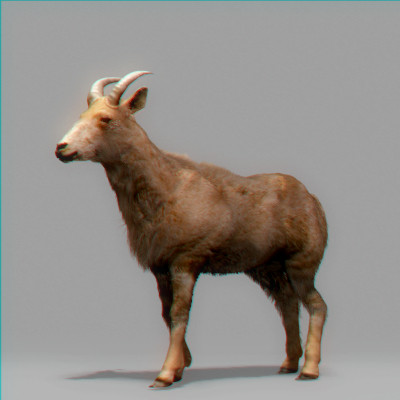 rigged mammals max - Rigged Mammals Megapack by NONECG