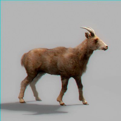 rigged mammals max - Rigged Mammals Megapack by NONECG