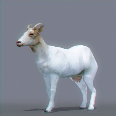 3d animals goat pig - Domestic Animals Pack by NONECG