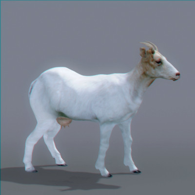 3d animals goat pig - Domestic Animals Pack by NONECG