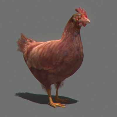 maya farm birds - Animated Farm Birds Pack by NONECG