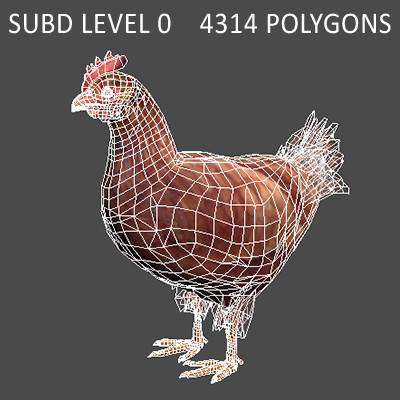 maya farm birds - Animated Farm Birds Pack by NONECG