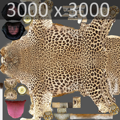 3d rigged animation - Rigged and Animated Felines Pack by NONECG