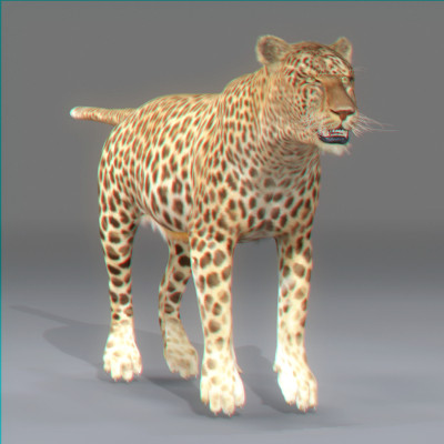 rigged mammals max - Rigged Mammals Megapack by NONECG