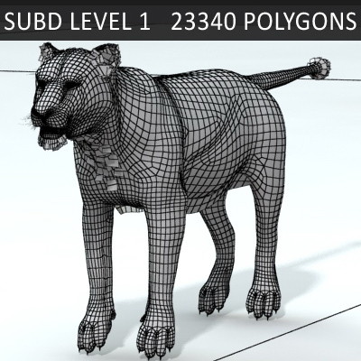 3d rigged animation - Rigged and Animated Felines Pack by NONECG
