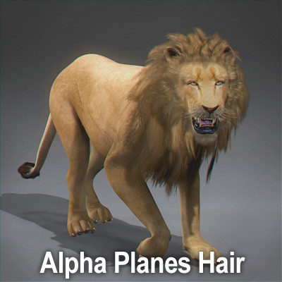 3d rigged animation - Rigged and Animated Felines Pack by NONECG