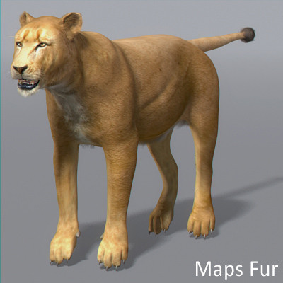 3d rigged animation - Rigged and Animated Felines Pack by NONECG