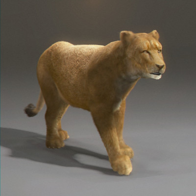 3d rigged animation - Rigged and Animated Felines Pack by NONECG