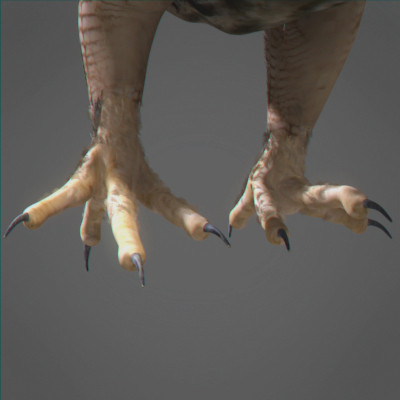 rigged dolphin eagles 3d model - Animated Wildlife MegaPack by NONECG