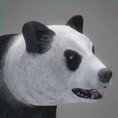3d panda bears - Animated Bears Pack by NONECG
