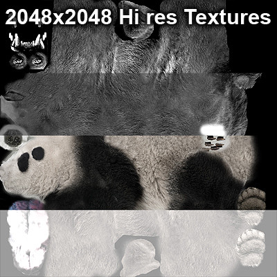 3d panda bears - Animated Bears Pack by NONECG