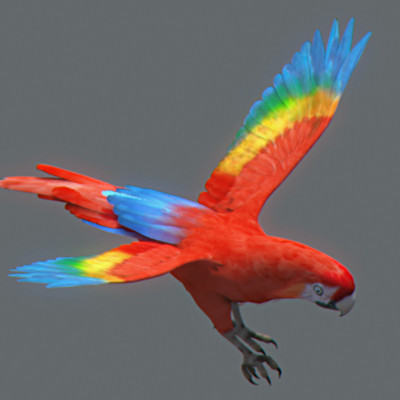 rigged dolphin eagles 3d model - Animated Wildlife MegaPack by NONECG