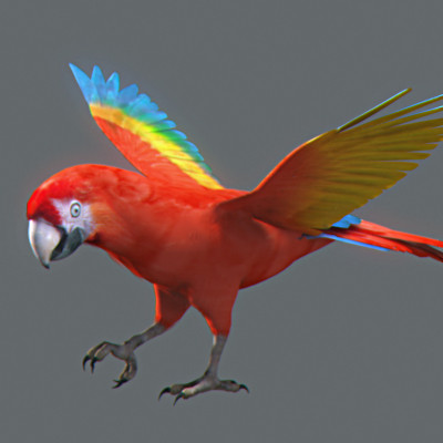 rigged dolphin eagles 3d model - Animated Wildlife MegaPack by NONECG