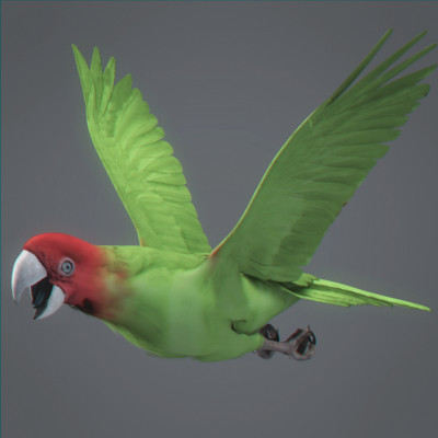 rigged dolphin eagles 3d model - Animated Wildlife MegaPack by NONECG