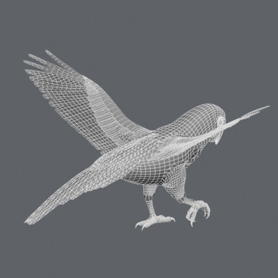 crow flamingo parrots 3d 3ds - Animated Birds Pack by NONECG
