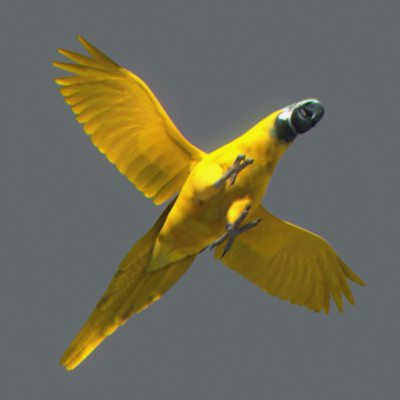 crow flamingo parrots 3d 3ds - Animated Birds Pack by NONECG