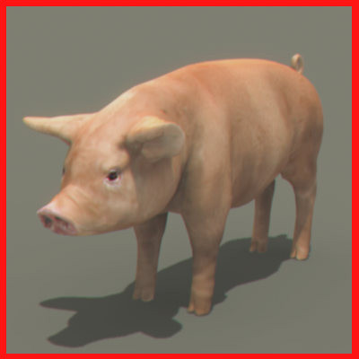 3d animals goat pig - Domestic Animals Pack by NONECG